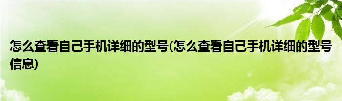 怎么查看自己手機詳細的型號(怎么查看自己手機詳細的型號信息)