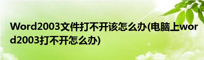 Word2003文件打不開該怎么辦(電腦上word2003打不開怎么辦)