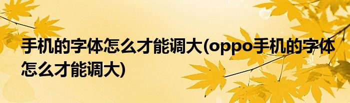 手機(jī)的字體怎么才能調(diào)大(oppo手機(jī)的字體怎么才能調(diào)大)