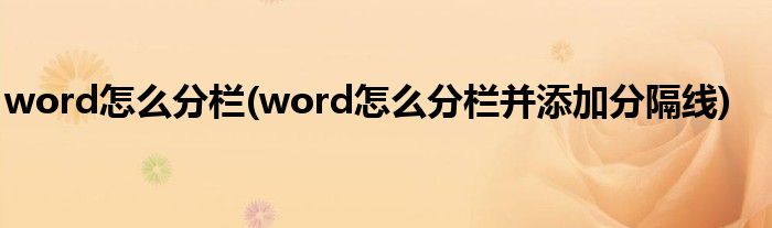 word怎么分欄(word怎么分欄并添加分隔線)