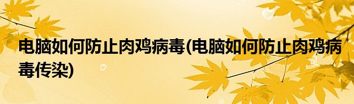 電腦如何防止肉雞病毒(電腦如何防止肉雞病毒傳染)