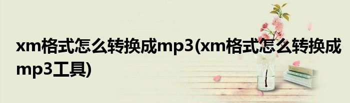 xm格式怎么轉(zhuǎn)換成mp3(xm格式怎么轉(zhuǎn)換成mp3工具)