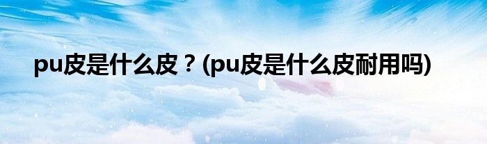 pu皮是什么皮？(pu皮是什么皮耐用嗎)