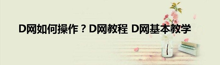 D網(wǎng)如何操作？D網(wǎng)教程 D網(wǎng)基本教學(xué)