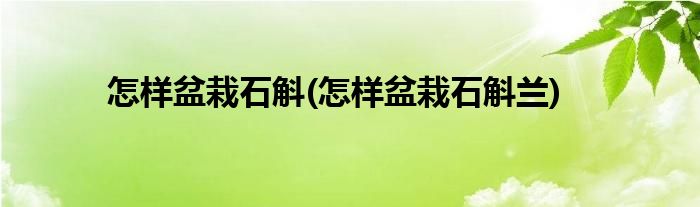 怎樣盆栽石斛(怎樣盆栽石斛蘭)