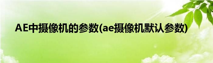 AE中攝像機(jī)的參數(shù)(ae攝像機(jī)默認(rèn)參數(shù))