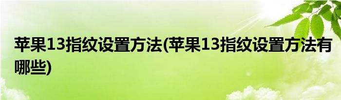 蘋果13指紋設(shè)置方法(蘋果13指紋設(shè)置方法有哪些)