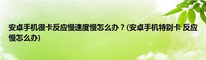 安卓手機(jī)很卡反應(yīng)慢速度慢怎么辦？(安卓手機(jī)特別卡 反應(yīng)慢怎么辦)