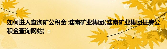 如何進(jìn)入查詢礦公積金 淮南礦業(yè)集團(tuán)(淮南礦業(yè)集團(tuán)住房公積金查詢網(wǎng)站)