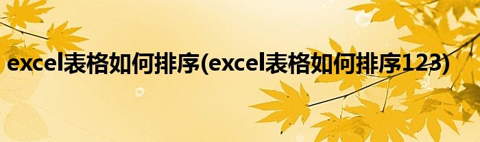 excel表格如何排序(excel表格如何排序123)