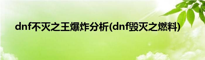 dnf不滅之王爆炸分析(dnf毀滅之燃料)