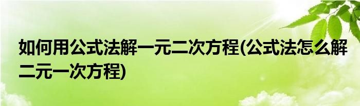 如何用公式法解一元二次方程(公式法怎么解二元一次方程)