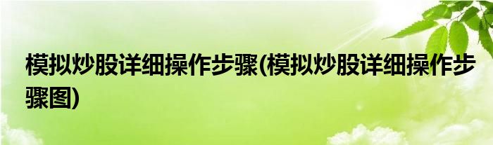 模擬炒股詳細(xì)操作步驟(模擬炒股詳細(xì)操作步驟圖)