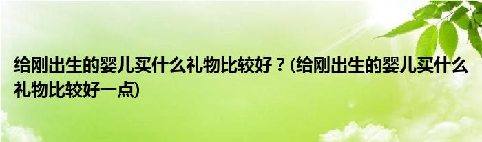 給剛出生的嬰兒買(mǎi)什么禮物比較好？(給剛出生的嬰兒買(mǎi)什么禮物比較好一點(diǎn))