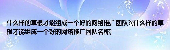 什么樣的草根才能組成一個(gè)好的網(wǎng)絡(luò)推廣團(tuán)隊(duì)?(什么樣的草根才能組成一個(gè)好的網(wǎng)絡(luò)推廣團(tuán)隊(duì)名稱)