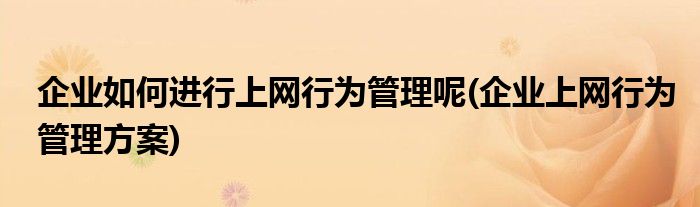 企業(yè)如何進(jìn)行上網(wǎng)行為管理呢(企業(yè)上網(wǎng)行為管理方案)