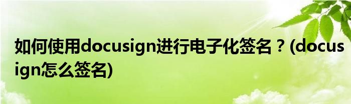 如何使用docusign進(jìn)行電子化簽名？(docusign怎么簽名)