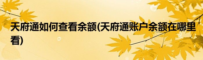 天府通如何查看余額(天府通賬戶余額在哪里看)