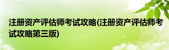 注冊資產(chǎn)評估師考試攻略(注冊資產(chǎn)評估師考試攻略第三版)