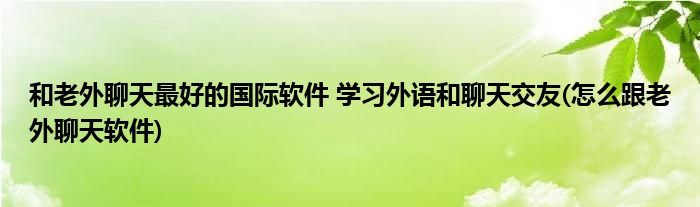 和老外聊天最好的國際軟件 學習外語和聊天交友(怎么跟老外聊天軟件)