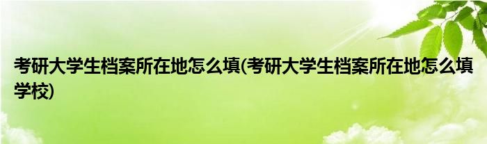 考研大學(xué)生檔案所在地怎么填(考研大學(xué)生檔案所在地怎么填學(xué)校)