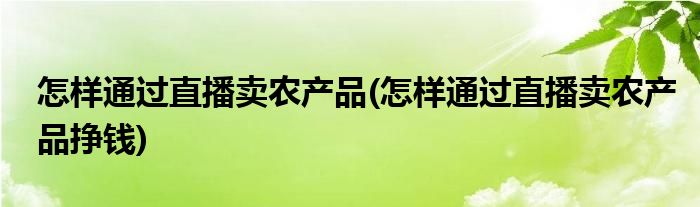 怎樣通過直播賣農(nóng)產(chǎn)品(怎樣通過直播賣農(nóng)產(chǎn)品掙錢)