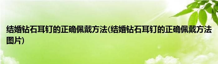 結(jié)婚鉆石耳釘?shù)恼_佩戴方法(結(jié)婚鉆石耳釘?shù)恼_佩戴方法圖片)