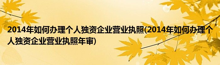 2014年如何辦理個人獨(dú)資企業(yè)營業(yè)執(zhí)照(2014年如何辦理個人獨(dú)資企業(yè)營業(yè)執(zhí)照年審)