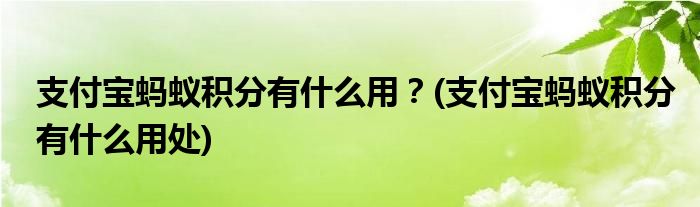 支付寶螞蟻積分有什么用？(支付寶螞蟻積分有什么用處)