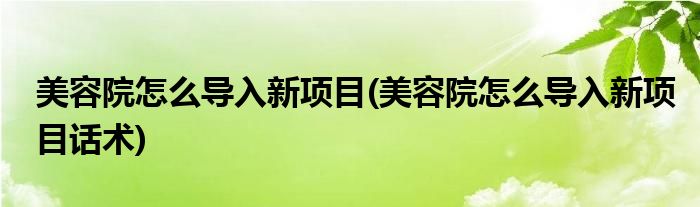 美容院怎么導(dǎo)入新項(xiàng)目(美容院怎么導(dǎo)入新項(xiàng)目話術(shù))