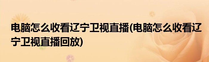 電腦怎么收看遼寧衛(wèi)視直播(電腦怎么收看遼寧衛(wèi)視直播回放)