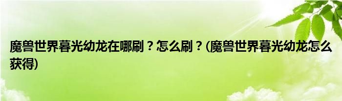 魔獸世界暮光幼龍在哪刷？怎么刷？(魔獸世界暮光幼龍怎么獲得)