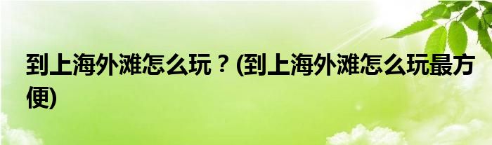 到上海外灘怎么玩？(到上海外灘怎么玩最方便)