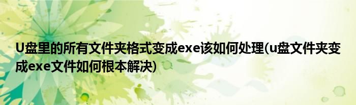 U盤里的所有文件夾格式變成exe該如何處理(u盤文件夾變成exe文件如何根本解決)