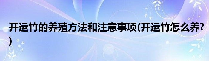 開運(yùn)竹的養(yǎng)殖方法和注意事項(xiàng)(開運(yùn)竹怎么養(yǎng)?)