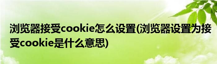 瀏覽器接受cookie怎么設(shè)置(瀏覽器設(shè)置為接受cookie是什么意思)