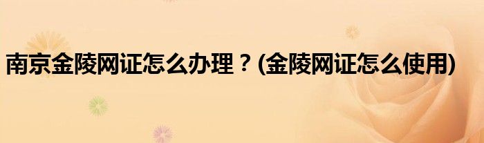 南京金陵網(wǎng)證怎么辦理？(金陵網(wǎng)證怎么使用)