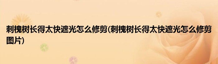 刺槐樹長得太快遮光怎么修剪(刺槐樹長得太快遮光怎么修剪圖片)