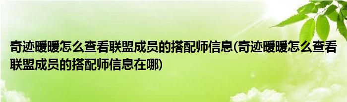 奇跡暖暖怎么查看聯(lián)盟成員的搭配師信息(奇跡暖暖怎么查看聯(lián)盟成員的搭配師信息在哪)