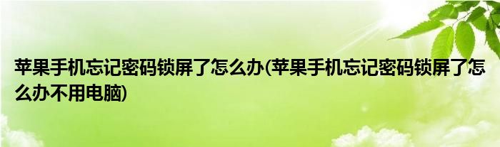 蘋果手機忘記密碼鎖屏了怎么辦(蘋果手機忘記密碼鎖屏了怎么辦不用電腦)