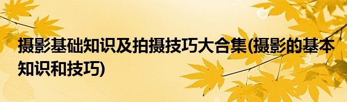 攝影基礎(chǔ)知識及拍攝技巧大合集(攝影的基本知識和技巧)