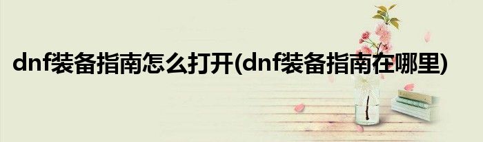 dnf裝備指南怎么打開(kāi)(dnf裝備指南在哪里)