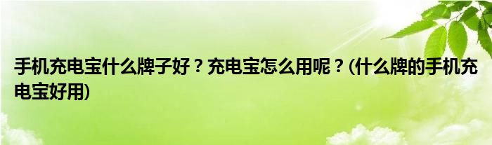 手機(jī)充電寶什么牌子好？充電寶怎么用呢？(什么牌的手機(jī)充電寶好用)