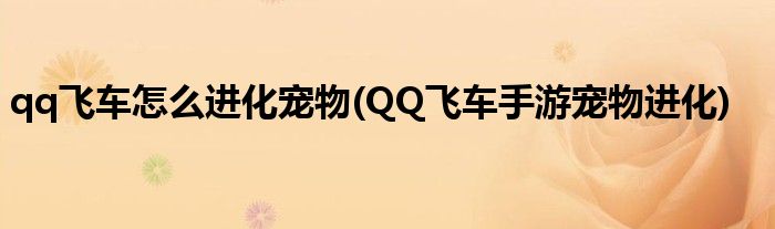 qq飛車怎么進(jìn)化寵物(QQ飛車手游寵物進(jìn)化)