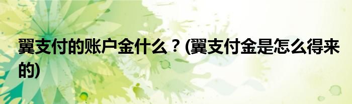 翼支付的賬戶金什么？(翼支付金是怎么得來的)