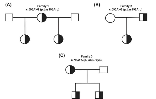 研究將遺傳突變與 Okur-Chung 神經(jīng)發(fā)育綜合征聯(lián)系起來