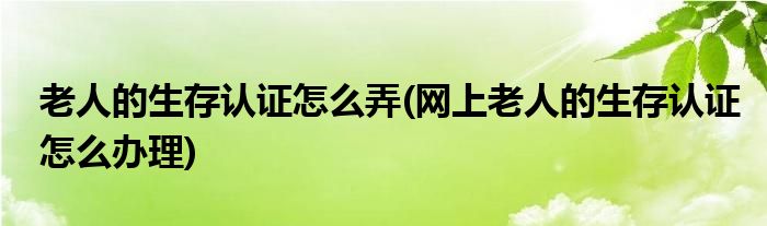 老人的生存認(rèn)證怎么弄(網(wǎng)上老人的生存認(rèn)證怎么辦理)