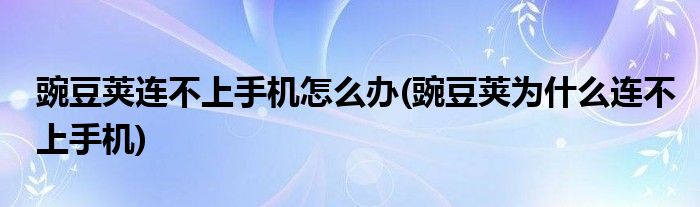 豌豆莢連不上手機怎么辦(豌豆莢為什么連不上手機)