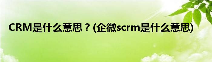 CRM是什么意思？(企微scrm是什么意思)