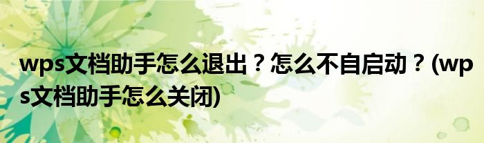 wps文檔助手怎么退出？怎么不自啟動(dòng)？(wps文檔助手怎么關(guān)閉)